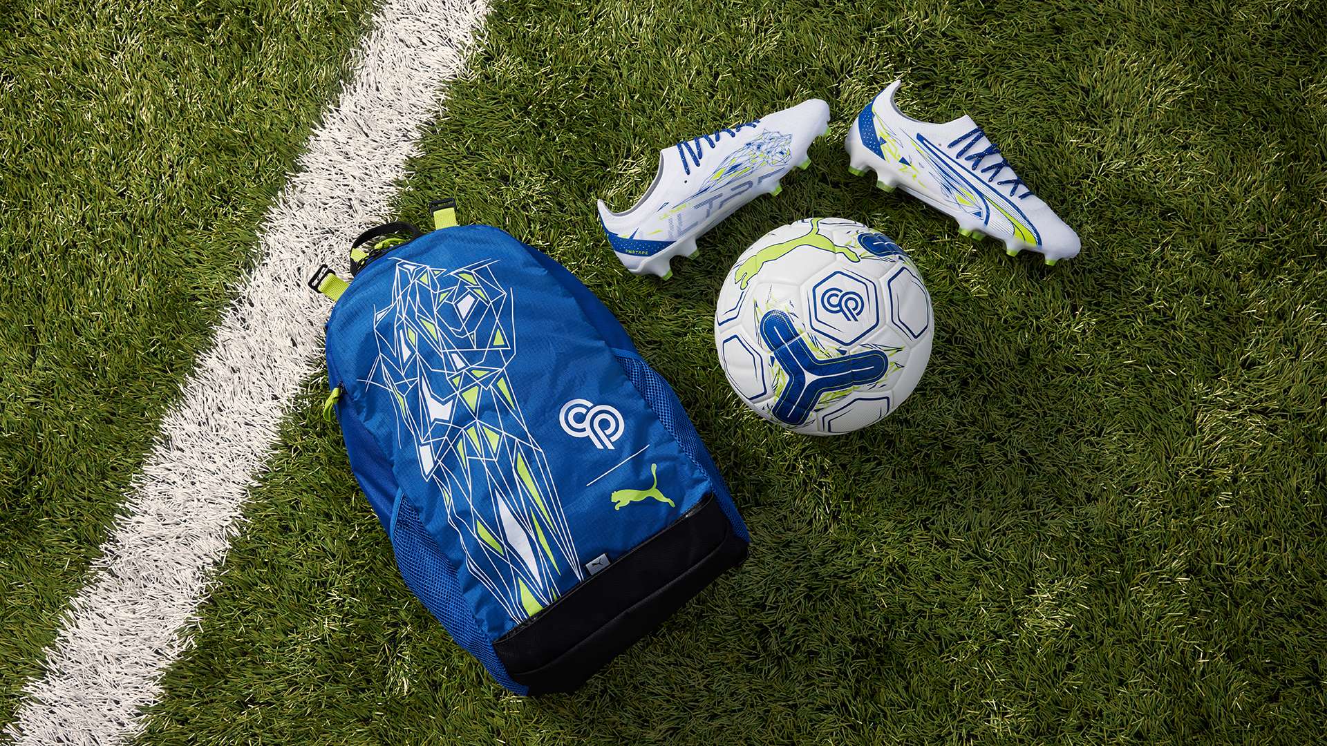 佩德里和加 佩德里和加