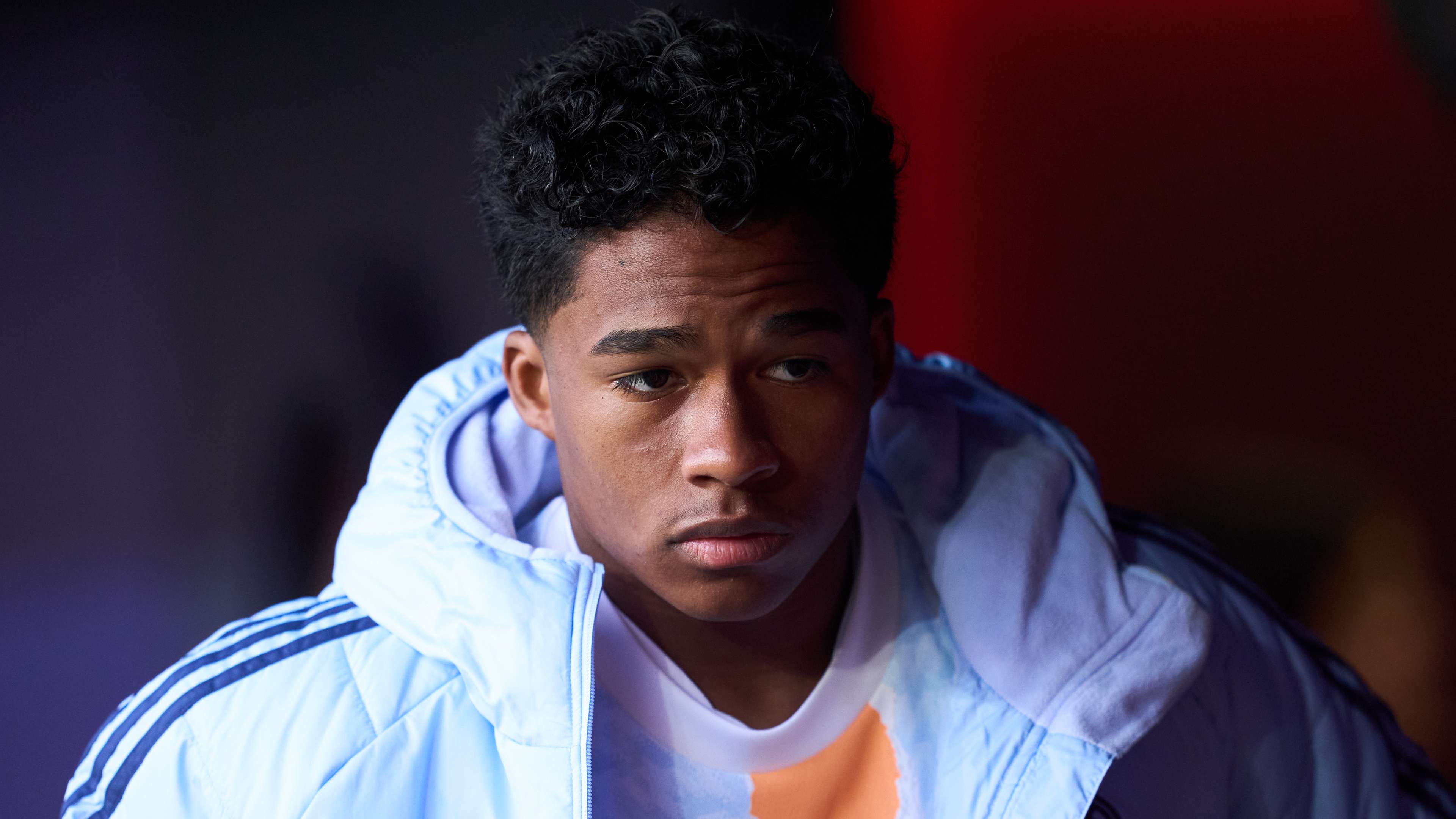 家隊的核心 家隊的核心